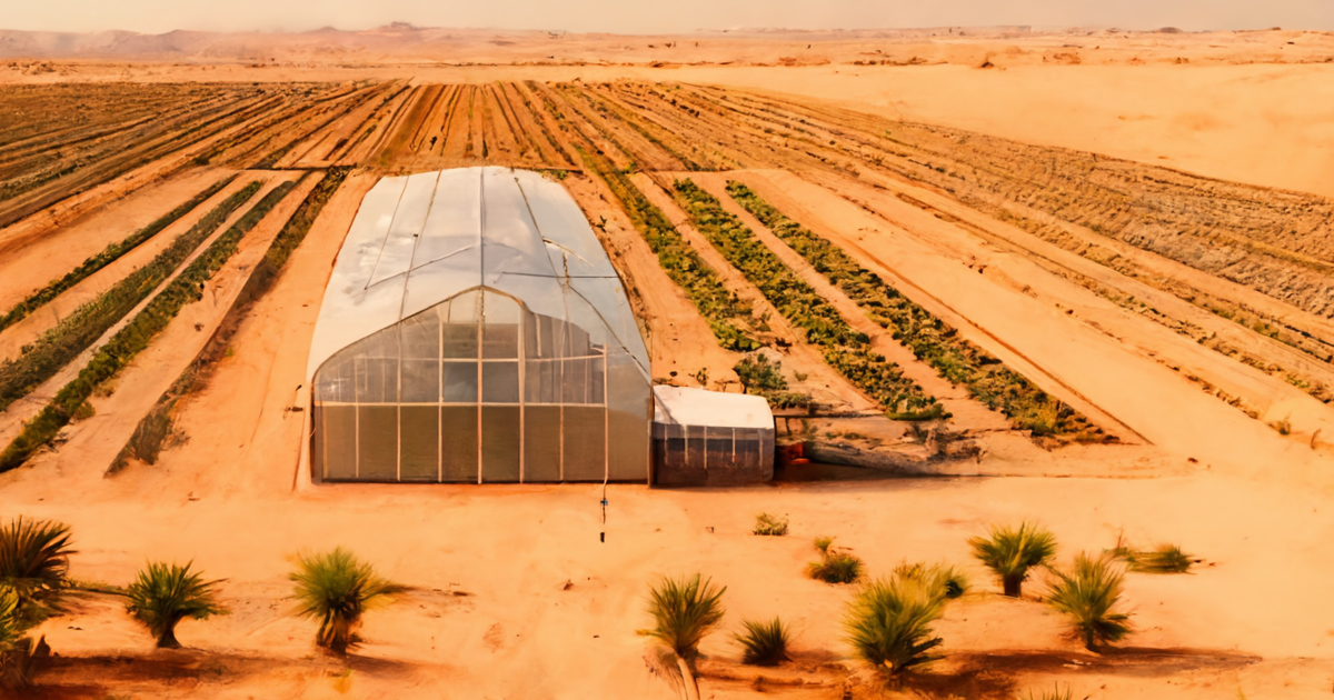 professional greenhouse in the heated desert