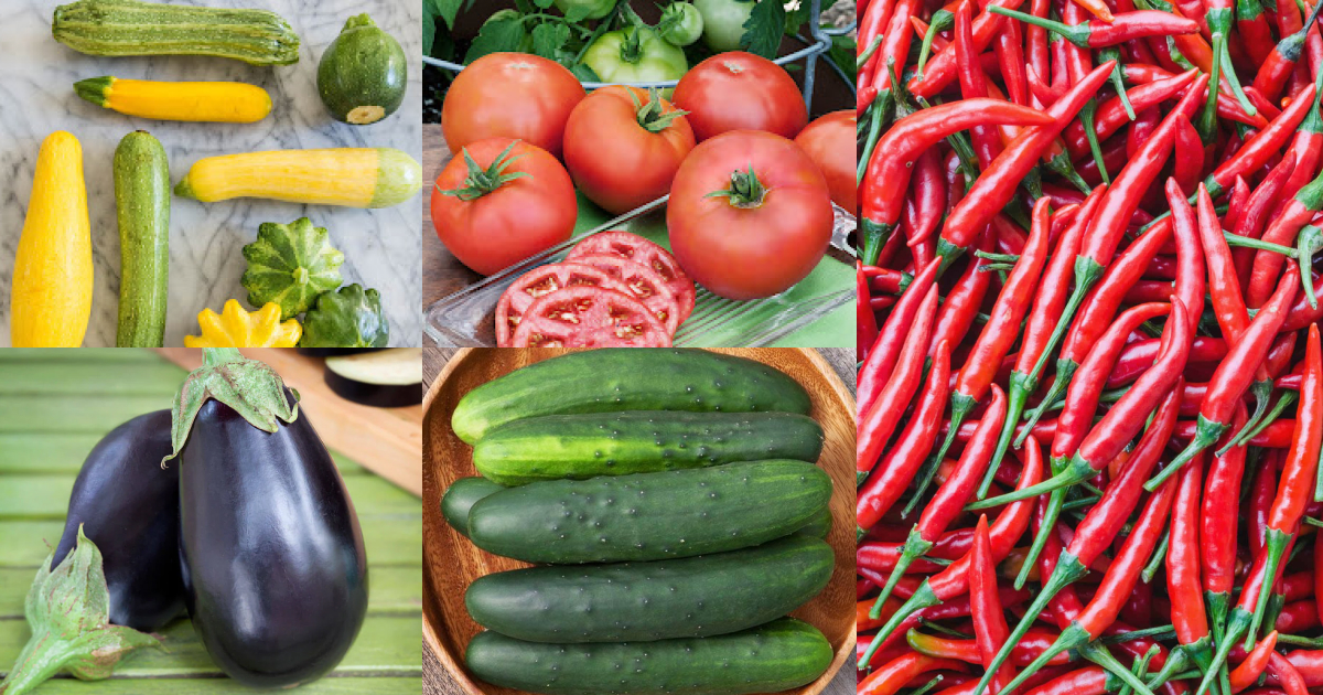 Hear-tolerant types of crops: cucumbers, tomatoes, peppers, eggplants, squashes 