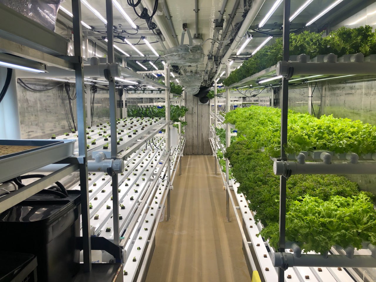 Vertical farming with LED light for indoor agriculture