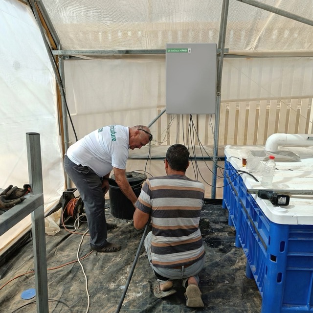 Gemini_Generated_Image_v0f0jtv0f0jtv0f0 — средний размер