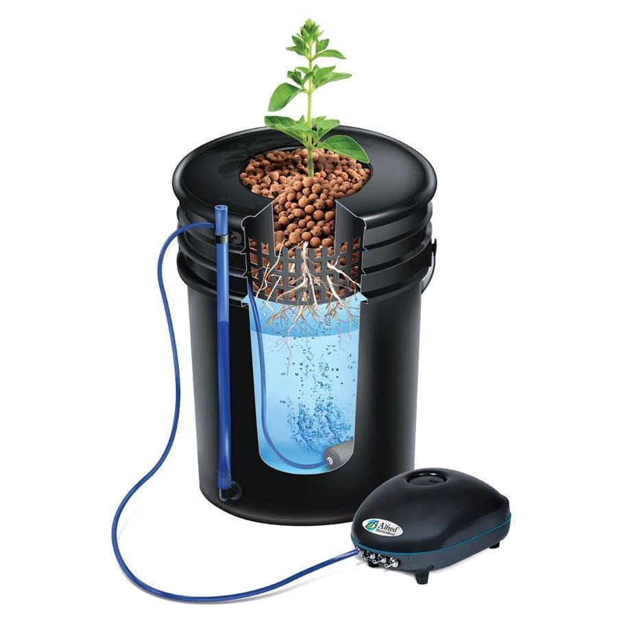 A bucket with a plant suspended in a net pot and an air stone bubbling beneath: This classic DWC setup effectively illustrates the core elements.