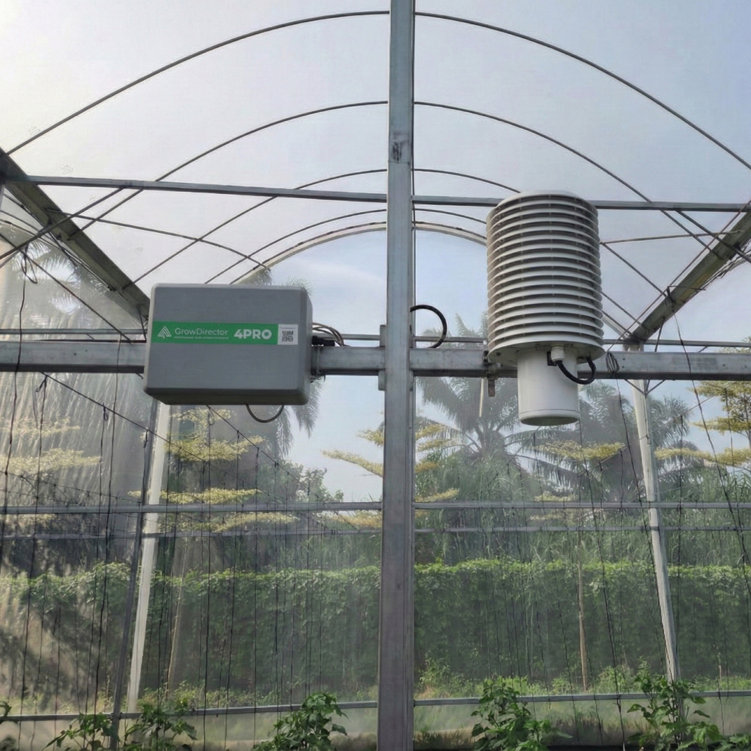 melon farm malaysia SensorDirector