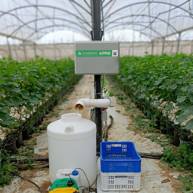 Cucumber farm autimated with GrowDirector
