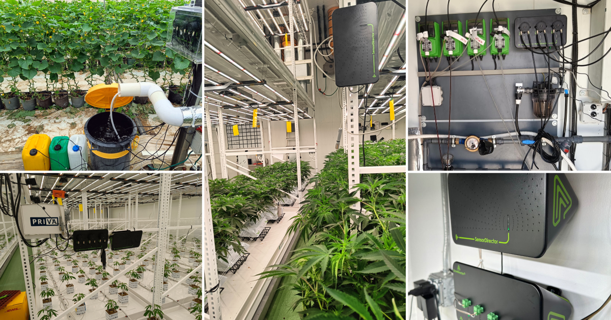 greenhouse climate controllers for commercial greenhouses.