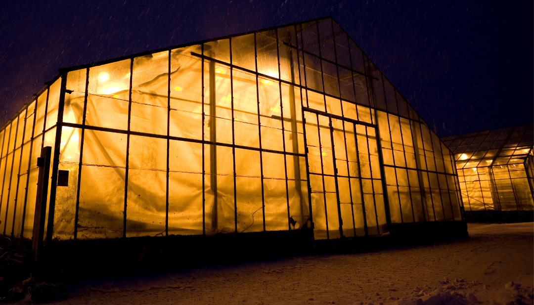 Temperature controlled greenhouse continue working even in freezing season 