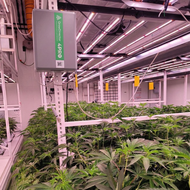 Cannabis farm climat control