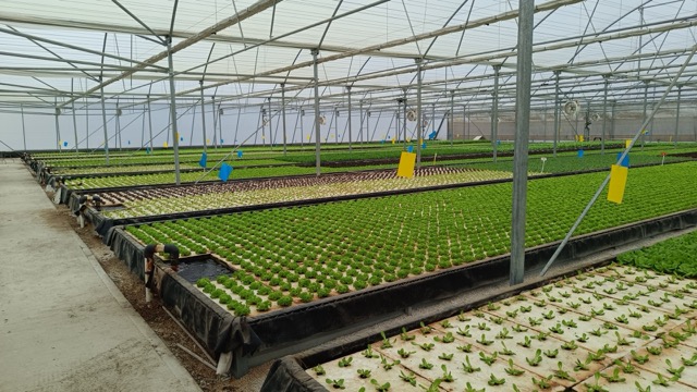 IMG-20241127-WA0010 — средний размер