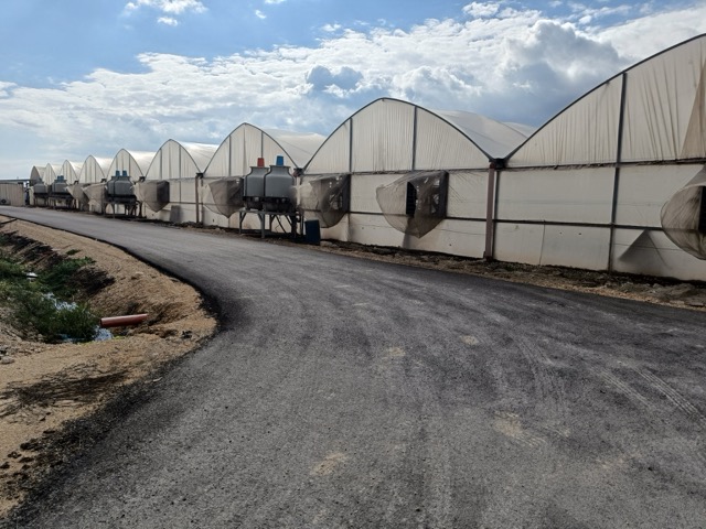 DWC greenhouses that equipped with GrowDirector