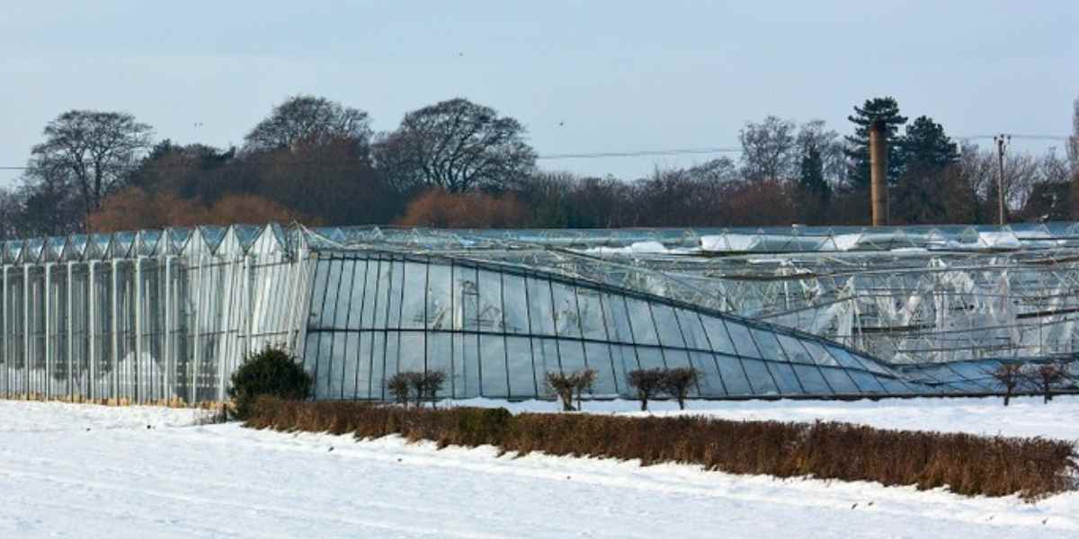 Large Glass Greenhouse can expose to danger to snowfall