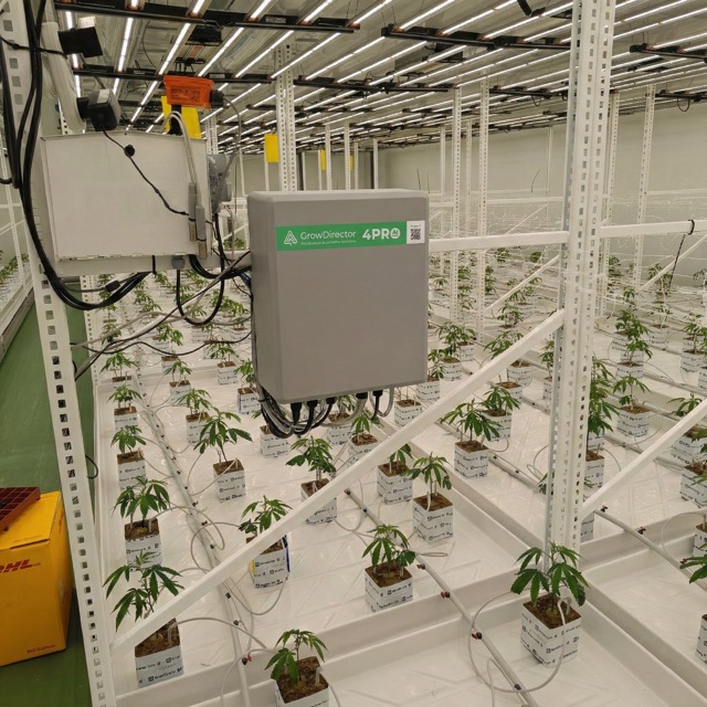 commercial cannabis farm climate control 