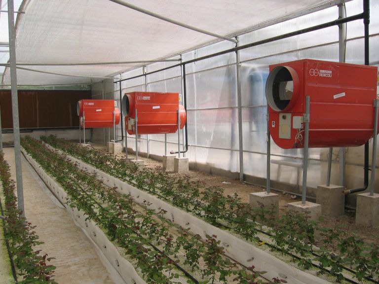 CO2 generator for commercial greenhouse