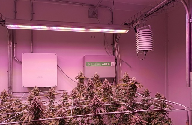 Cannabis R&D projects Climate monitoring and control system