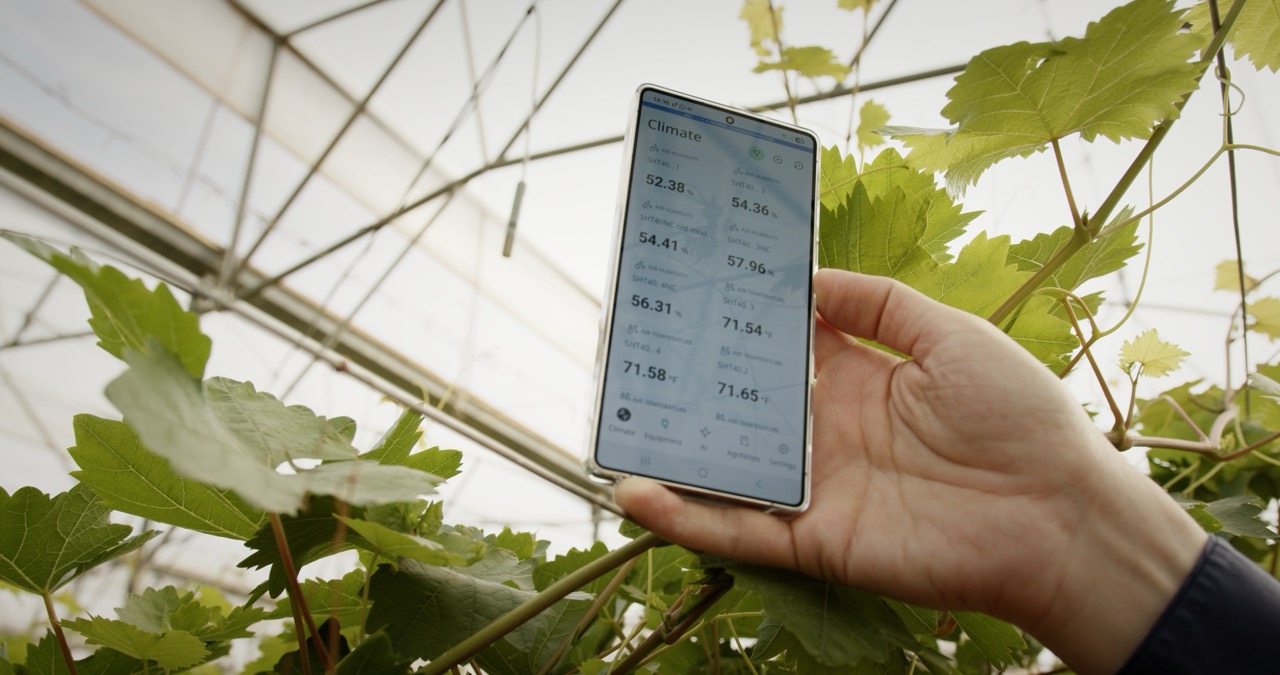 A grower using a smartphone to adjust greenhouse settings on the GrowDirector app, demonstrating remote crop monitoring AI.