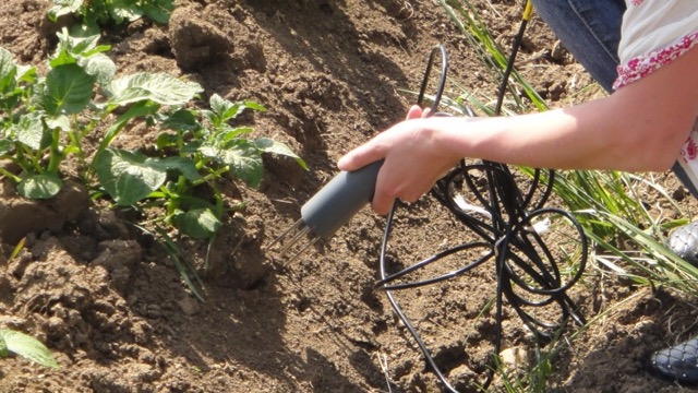 Soil moisture sensor helps to achieve precision irrigation 