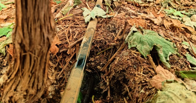 A macro shot of a drip irrigation emitter releasing a single drop of water directly onto the substrate, demonstrating precision watering.
