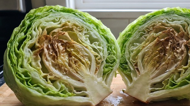 Head of lettuce exhibiting classic symptoms of tipburn, a calcium transport issue often caused by sub-optimal VPD management in a commercial CEA facility.