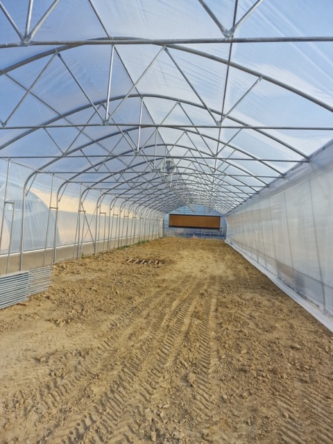 WhatsApp Image 2025-10-21 at 10.55.47 (3) — средний размер