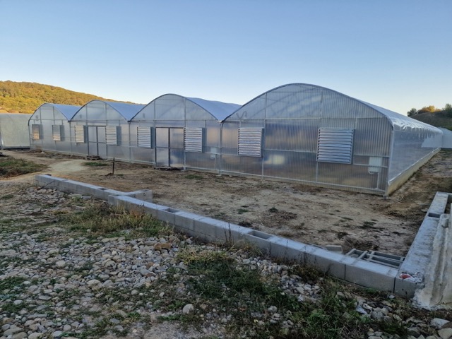 Exterior view of a newly constructed commercial polyhouse complex in Romania designed for high-tech hydroponic strawberry cultivation, featuring modern ventilation and prepared for GrowDirector blueprint-stage automation integration.