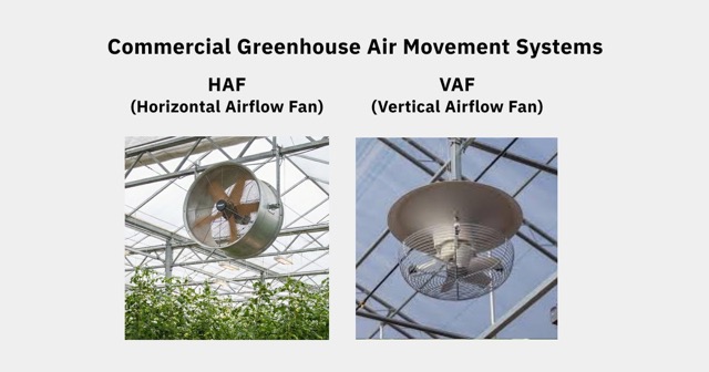 Comparison of HAF and VAF greenhouse circulation fans designed to solve specific thermal stratification and greenhouse airflow challenges.