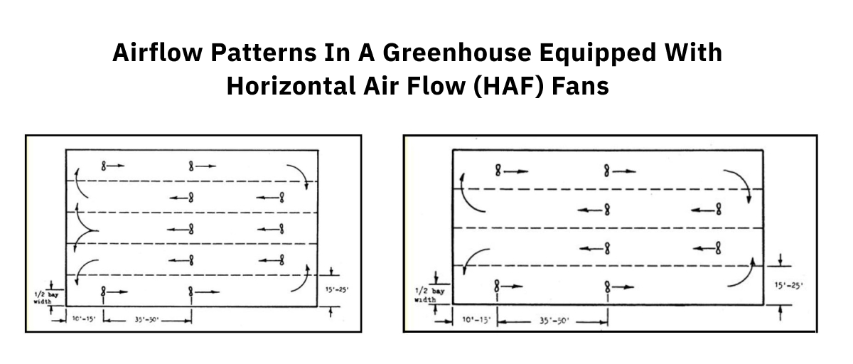 airflow patterns in a greenhouse equipped with Horizontal Air Flow (HAF) fans