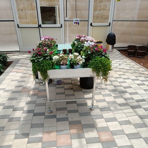 Agriculture-Research and Education greenhouse multizone Greenhouse