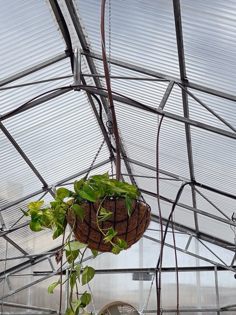 IMG20240523104854 — средний размер