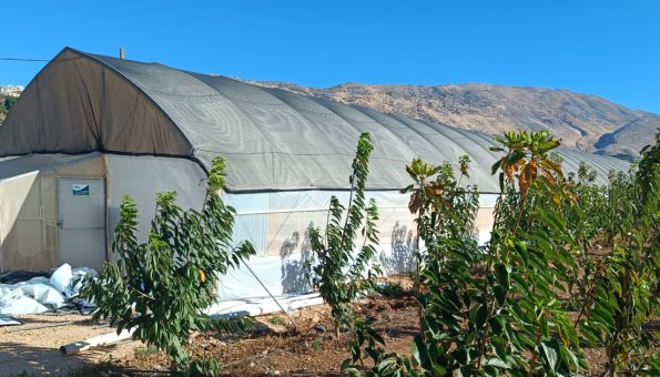 Greenhouse Climate Control Strategies for Severe Weather